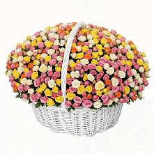 Премиум букет из: Розы в Володарске