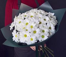 Букет цветов из:  Хризантемы #REPLACE_PRED# Володарске