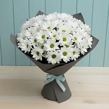 Букет цветов из:  Хризантемы в Володарске