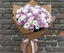 Букет цветов из:  Хризантемы в Володарске