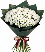 Букет цветов из:  Хризантемы в Володарске