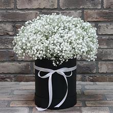 Цветочная композиция из Гипсофила в шляпной коробке #REPLACE_PRED# Володарске