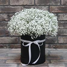 Цветочная композиция из Гипсофила в шляпной коробке в Володарске