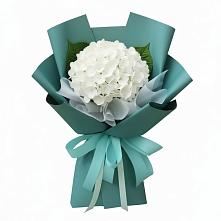 Букет цветов из:  Гортензия в Володарске